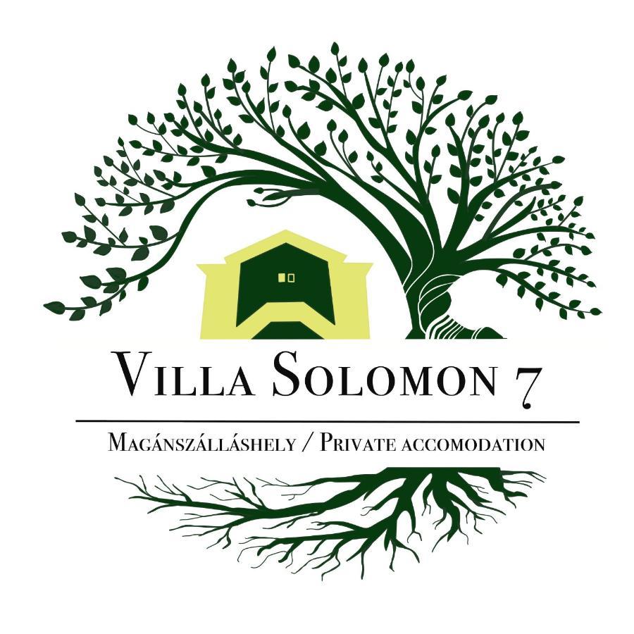 Apartmentvillasolomon7 비셰그라드 외부 사진