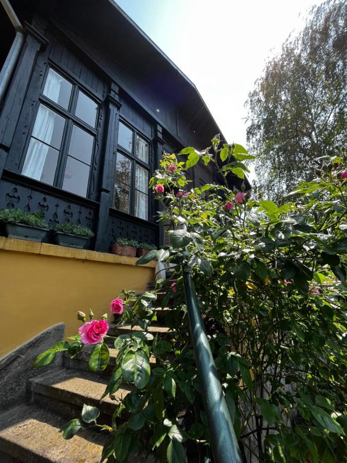 Apartmentvillasolomon7 비셰그라드 외부 사진
