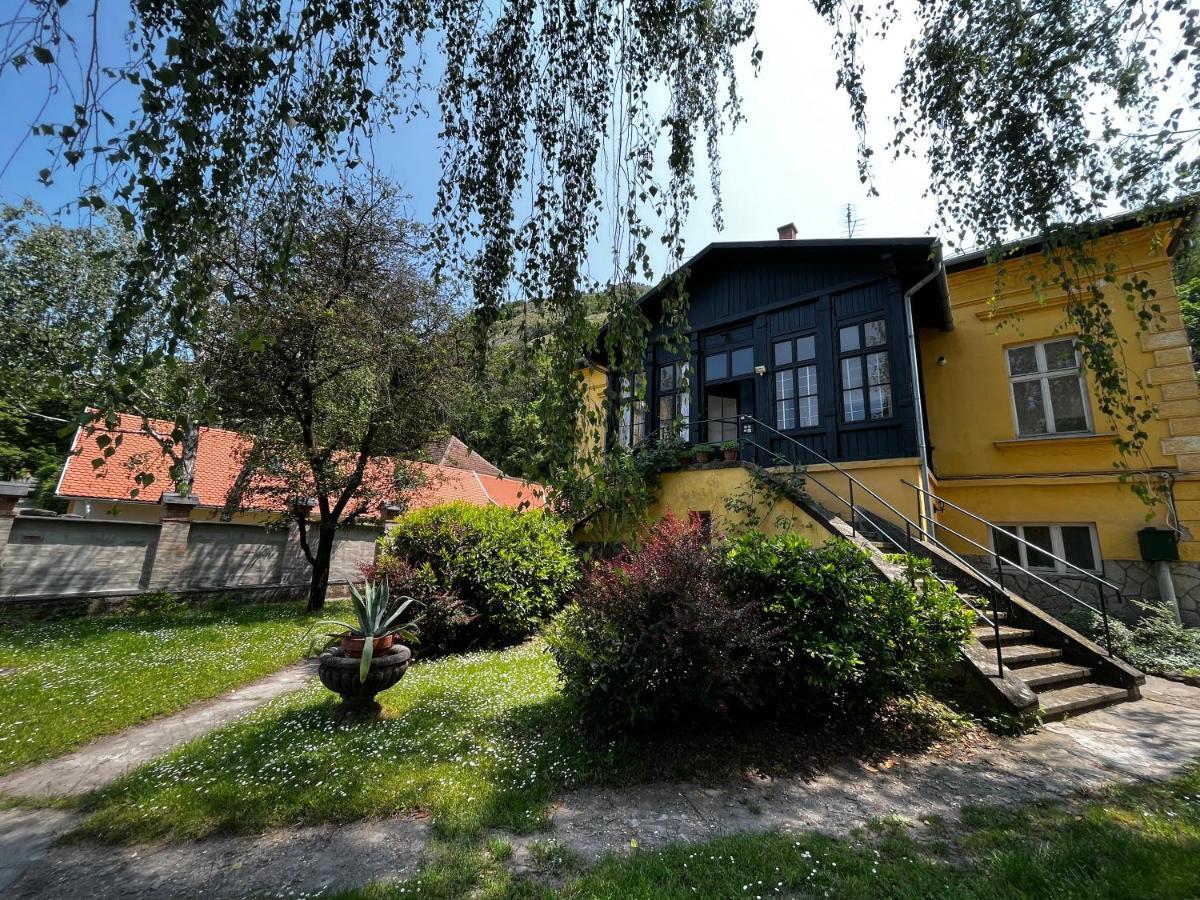 Apartmentvillasolomon7 비셰그라드 외부 사진